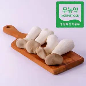 산지직송 당일수확 새송이버섯 미니(조림용) 2kg