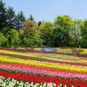 [대구] 이월드 연간회원권 4월