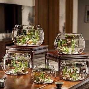 아크릴 플라스틱 어항 원형 가정용 금붕어 거북이 사육용 애완 수족관 (난방 및 조명 없음)