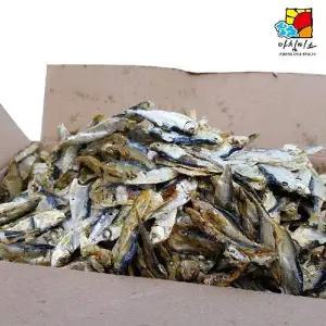 (SM)아침미소 MVT528O6 디포리 1.5kg 중품