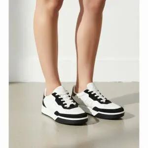 에코 STREET COURT 남성 스트리트 코트 스니커즈 25FW 539814-50334