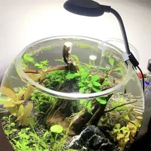 어항 USB 소형 클립 조명 미니 LED 고휘도 수족관 물 잔디 보조 투명