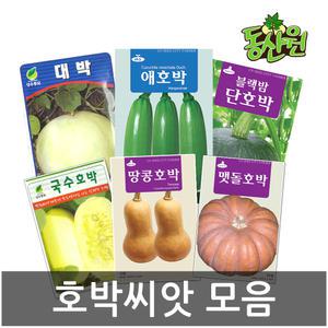 씨앗모음 호박씨앗 애호박 쥬키니 대박 맷돌호박 종자