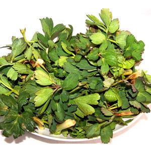 봄나물 여수 방풍2kg