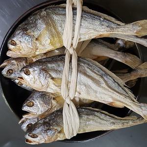 영광 보리굴비 31cm 10미 특대