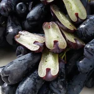 [품질보장]씨없는 고당도 블랙사파이어 가지포도 1kg