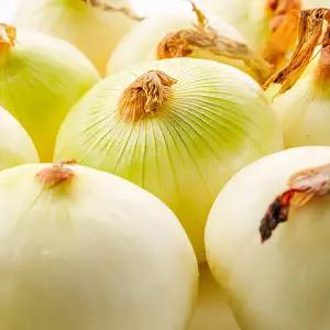 무안 햇 양파 국내산 미절단 깐양파 3kg