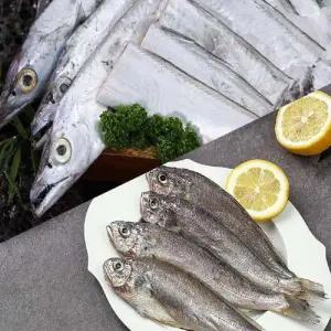 [해담]은갈치 150g*19마리분량(총57토막)+굴비500g*2팩(20마리)