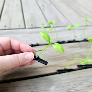 새싹 머리핀 안테나핀 기획상품 1P 흔들흔들 집게핀 추천