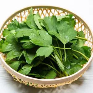 국내산 방풍나물 제철 봄나물 1kg