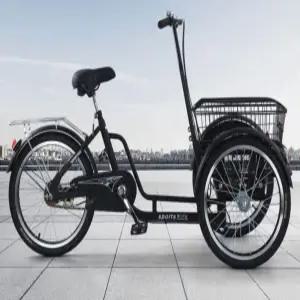 역삼륜 인력거 스타일 가족용 이동수단 짐칸 장착형 시트