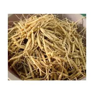 (성실)인삼모종 1년생종근 50개