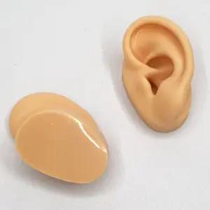 실리콘재질 인체모형 귀모형 보건교육용 왼쪽
