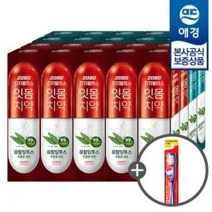 [애경] 2080 유칼립투스 진지발리스 치약 150g x10개 +칫솔 1입 증정