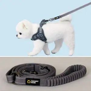 초코펫하우스 그레이 해피고 하네스별매 강아지 외출