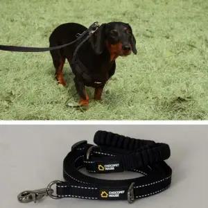 하네스별매 리드줄 블랙 해피고 초코펫하우스 외출용