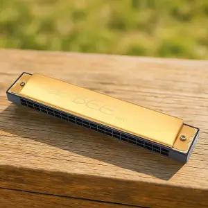 고급 20홀 하모니카 황금빛 멜로디초급 입문용 멜로디언 하프 취미 음악 연주 악기 20 솔로 휴대용 용악기