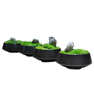 이끼수반그릇 돌 플레이팅 라운드 이룸온 장식용품 가다