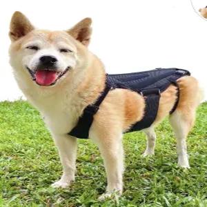 강아지 척추보조기 허리디스크 척추보호대 등길이 은해펫