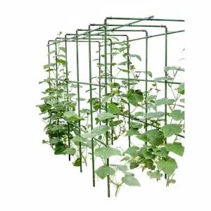 철제 포도나무 식물랙 사각 지지대 장미 넝쿨 덩굴 원예