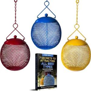 뒷마당 표현 야외용 3팩 금속 메쉬 새 모이통 - 카디널 핀치 송버드를 위한 빨간색 파란색 및 노란색