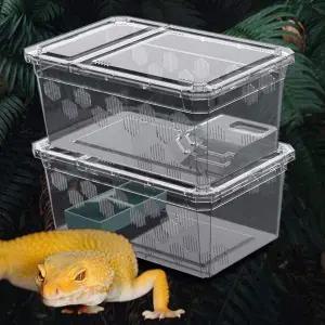 대형 아크릴 사육장 크레 용품 도마뱀 사육장 파충류