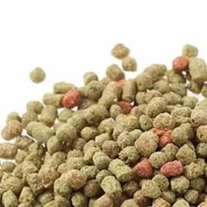 금붕어용 피드 150g 수조 사료 금붕어 사육 먹이 물고기 영양소