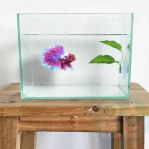 수족관 장식 인공 수초 어항 액세서리 수조 꾸미기 소품