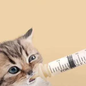 동물용 피딩 주사기 애완견 고양이 피딩 주사기 M 4종