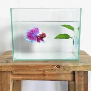 수족관 장식 인공 수초 어항 액세서리 수조 꾸미기 소품