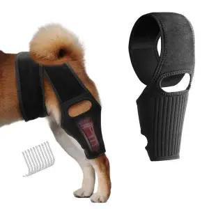반려동물 다리 보호대 강아이 슬개골 탈구 관절 보조기