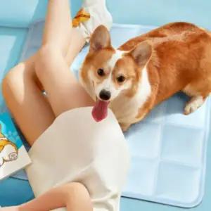 반려동물 쿨매트 냉감패드 쿨방석 강아지 TS240818