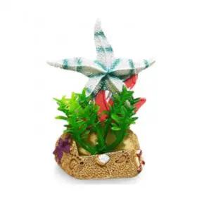 [콩심팥심]TBZ 수족관 관상용 불가사리 소품 어항장식 어항꾸미기