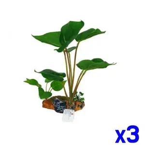 [콩심팥심]TBZ 수족관 어항 유목 수초 장식 소 x3개 수조장식용품