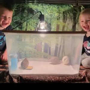 (X6 동물부화-사육용히터) 45리터 병아리육추기.메추리육추기