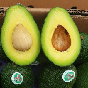 숲속의 버터 아보카도 3입, 5입, 10입(대과220g)