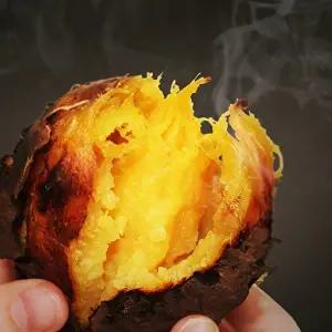 소리팜 해남 꿀고구마 10kg (대)