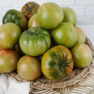 대저토마토 찰토마토 못난이랜덤과 5kg