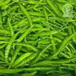 국내산 땡초 청양고추 대량 도매 식자재 5kg