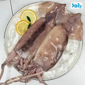 [품질보장] 청년 손질 통 오징어 260X5팩 (총 10미) 2마리씩 소포장