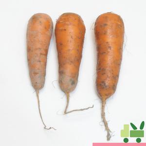 당근 (흙당근) 중 10kg