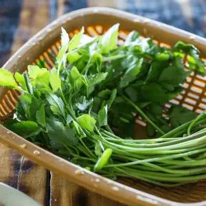 국내산 청도 미나리 400g