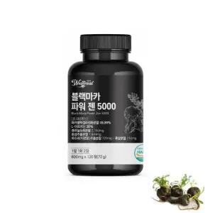 웰트릿 블랙마카 아르기닌 흑마늘 흑삼 함유120정