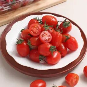 익음 스테비아 방울토마토 500g 2팩 3팩 4팩 선택