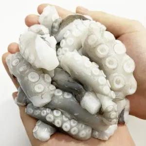 촉촉 손질 절단낙지 1봉 왕특대 XXL (450g*2팩)