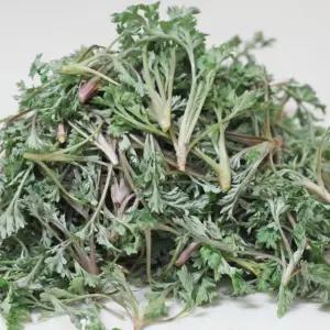 해풍맞아 더 향긋한 자연산 노지 쑥 1kg 생쑥 봄나물