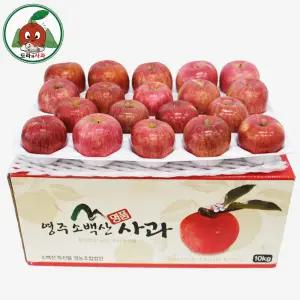 청정 영주소백산사과 가정용 꿀부사 사과 10kg중대과(34~36과내외) 산지직송 163126