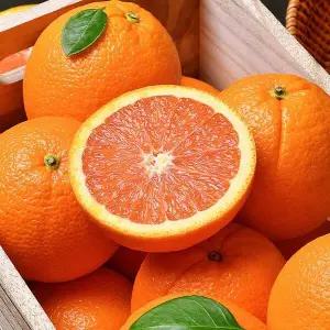 고당도 카라카라 오렌지 15과 중과(개당190g내외)