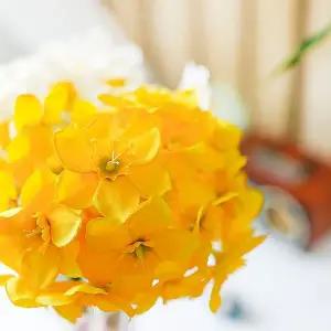 [콩심팥심]슈마켓 수선화 조화 옐로우6P