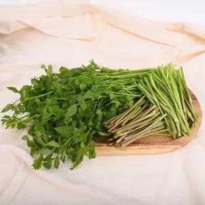 청도 한재 미나리 1KG 청도미나리 미나리 채소 야채 신선한